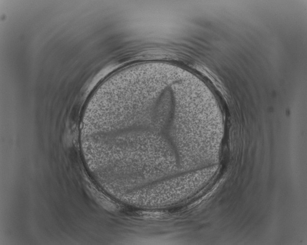 X0000087321465200705180959