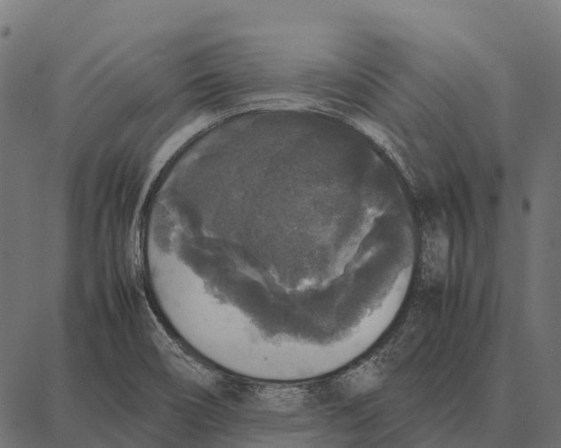 X0000087321466200705180959