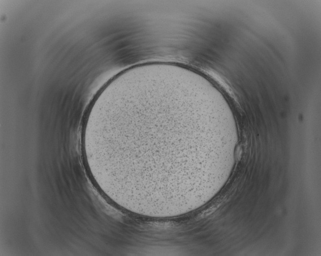 X0000087321468200705180959