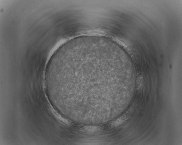 X0000087321470200705180959