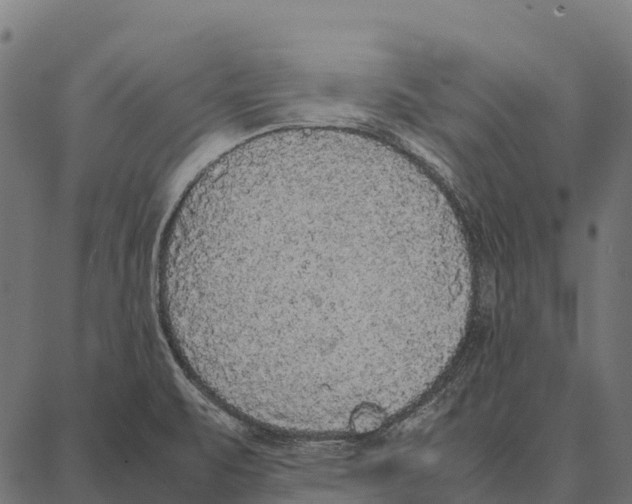 X0000087321471200705180959