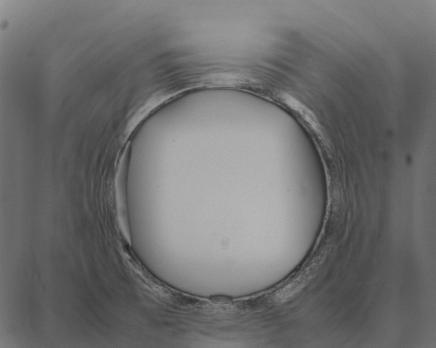 X0000087321473200705180959