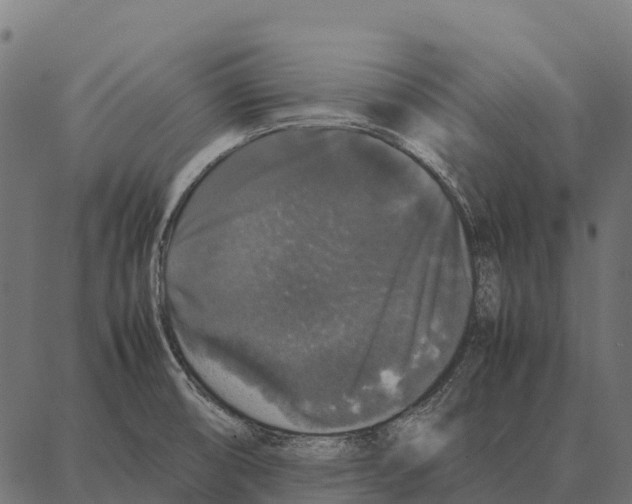 X0000087321474200705180959