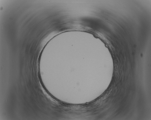 X0000087321479200705180958