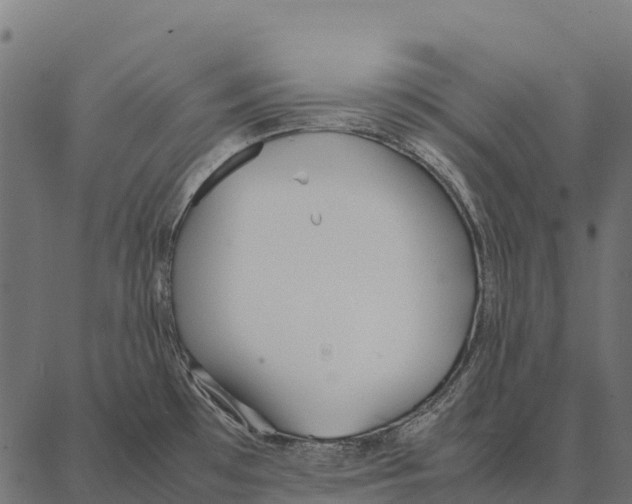 X0000087321481200705180958