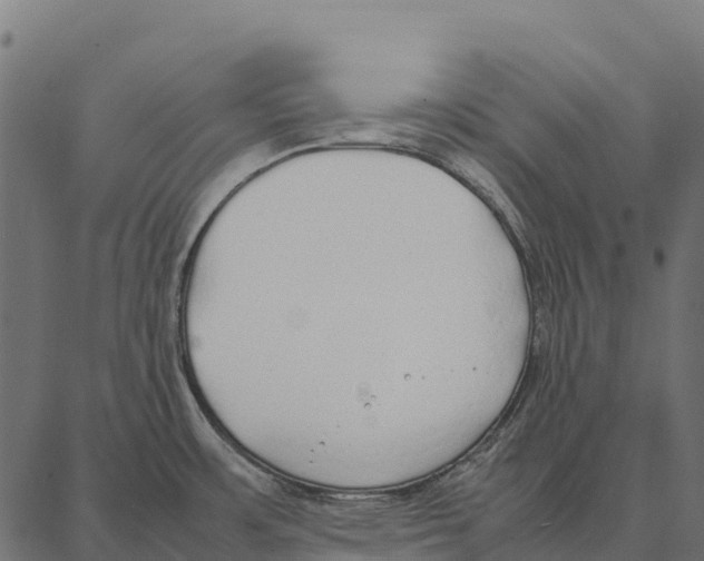 X0000087321483200705180958