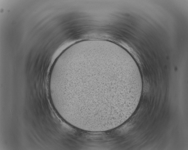 X0000087321486200705180958