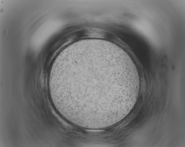 X0000087321487200705180958