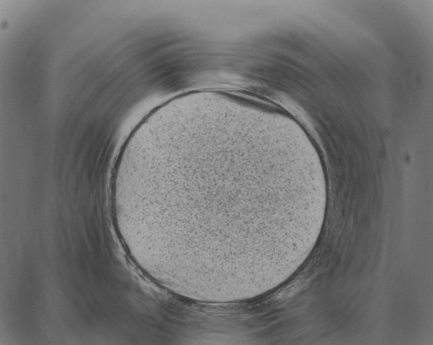 X0000087321488200705180958