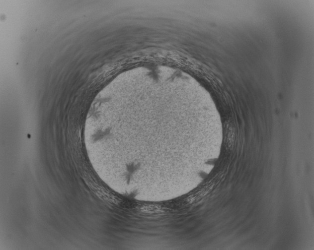 X0000087321489200705180958