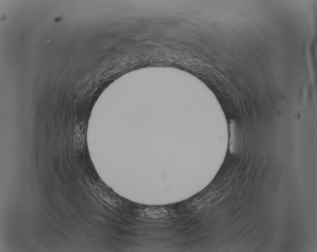 X0000087321491200705180958