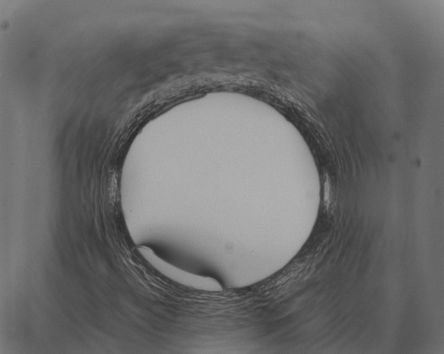 X0000087321492200705180958