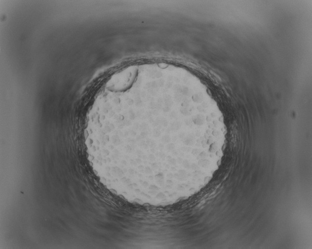 X0000087321494200705180958