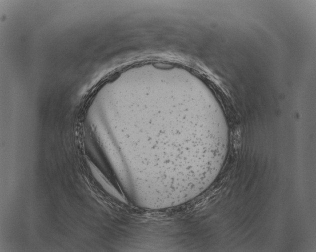 X0000087321496200705180958