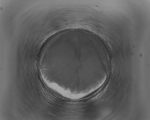 X0000087321497200705180958