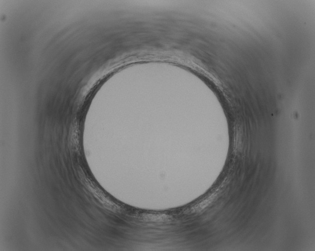 X0000087321498200705180958