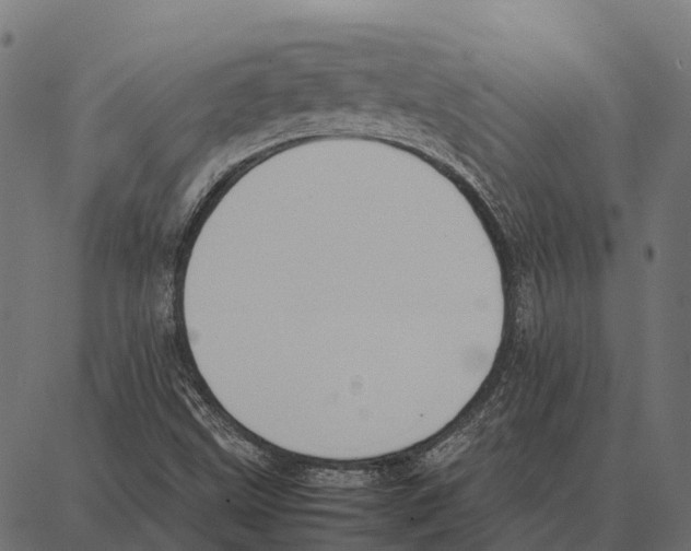 X0000087321499200705180958