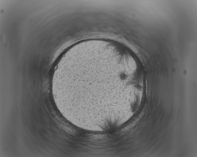 X0000087321501200705180958