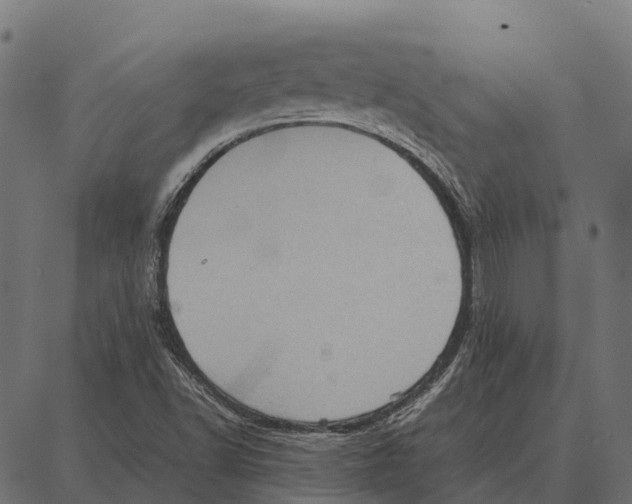 X0000087321502200705180958