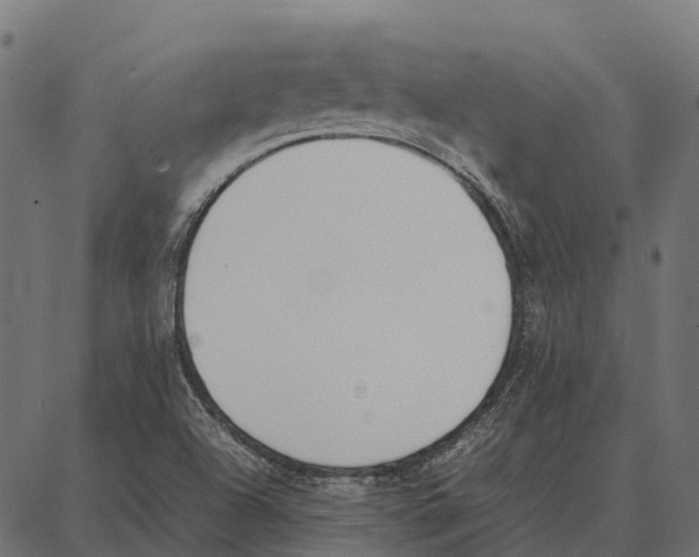 X0000087321504200705180958