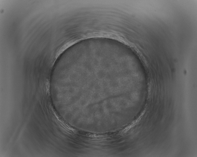 X0000087321505200705180958