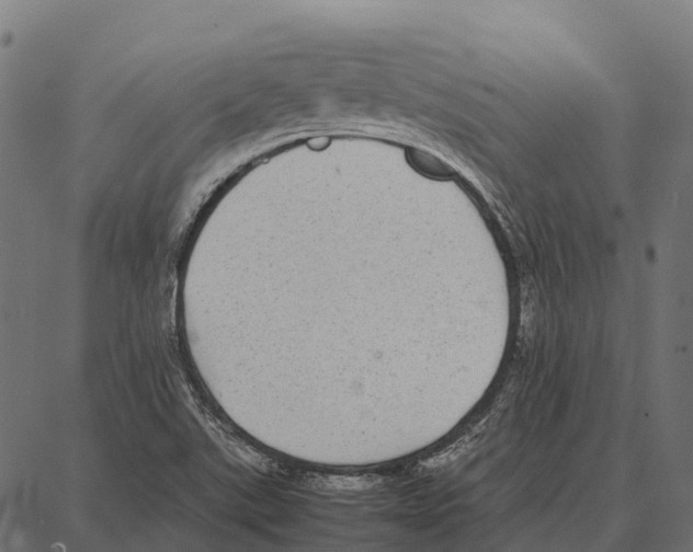 X0000087321507200705180958