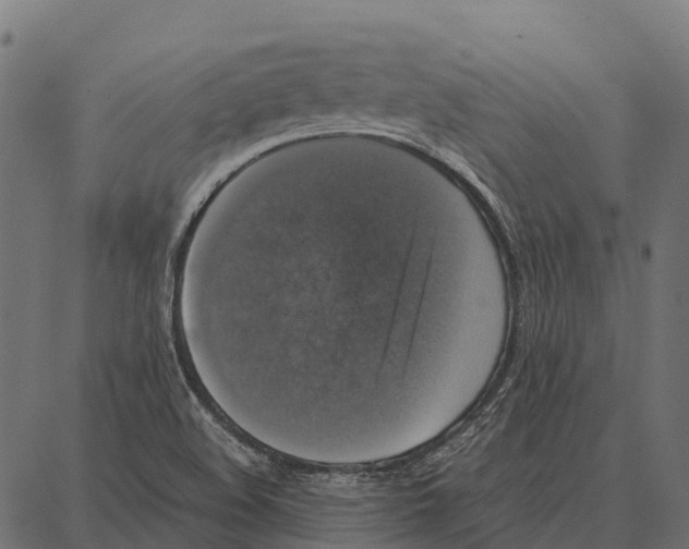 X0000087321508200705180958