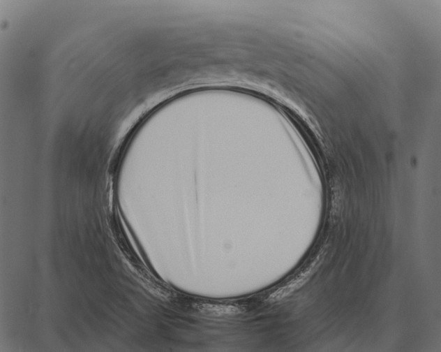 X0000087321509200705180958