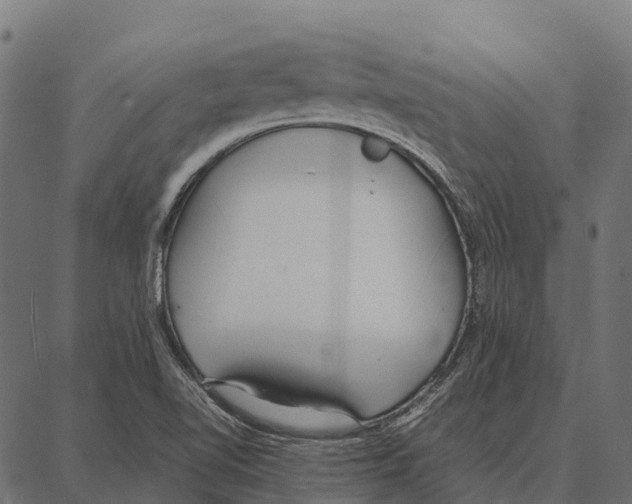 X0000087321510200705180958