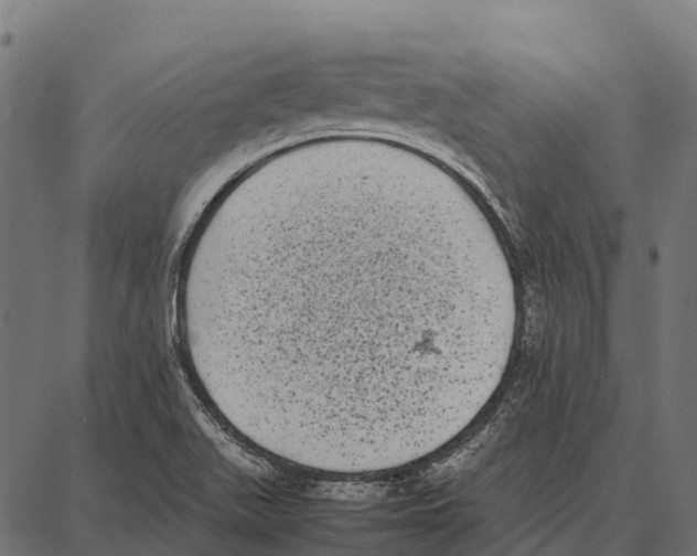 X0000087321511200705180958