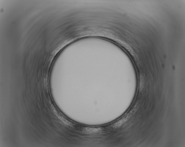 X0000087321513200705180958