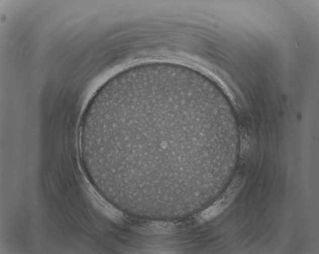 X0000087321514200705180958