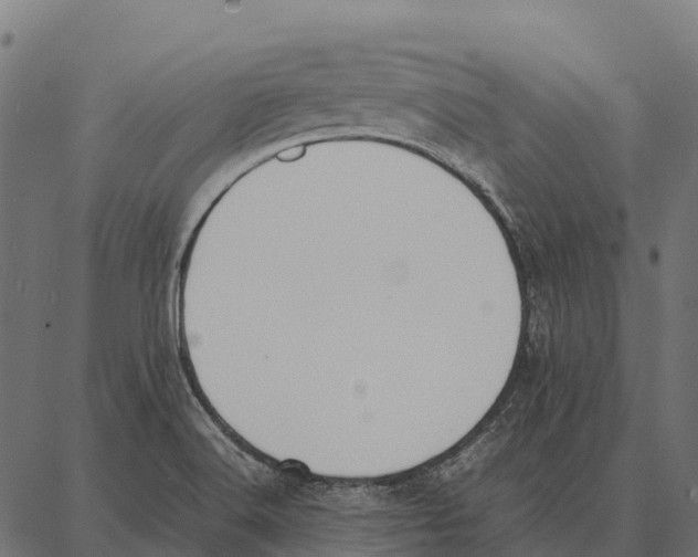 X0000087321516200705180958