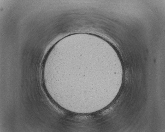 X0000087321517200705180958