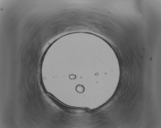 X0000087321518200705180958