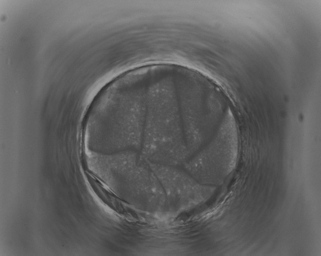 X0000087321519200705180958