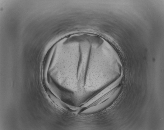 X0000087321520200705180958