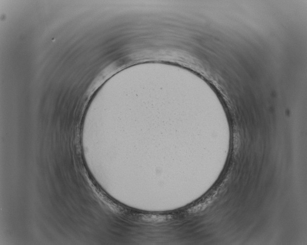 X0000087321521200705180958