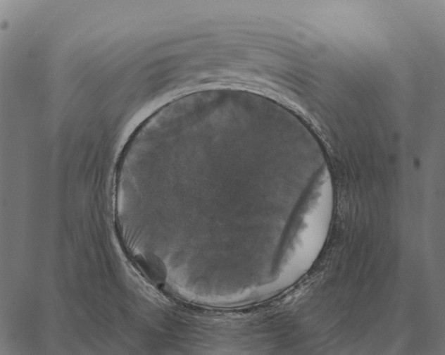 X0000087321522200705180958