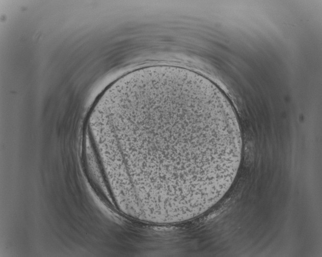 X0000087321523200705180958