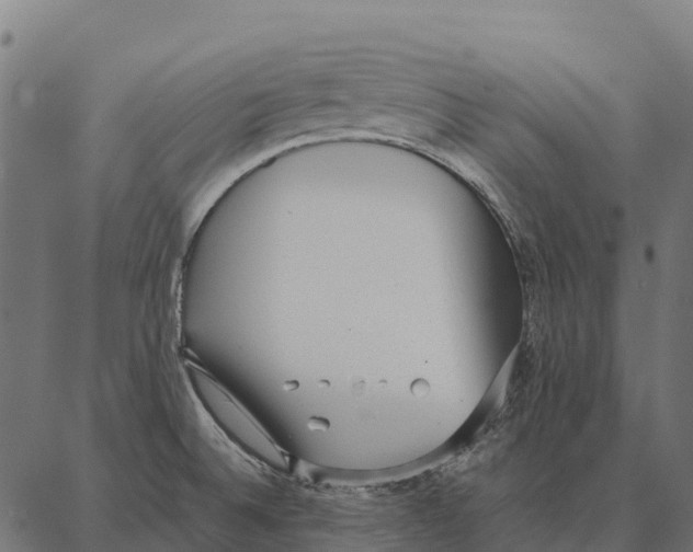 X0000087321524200705180958