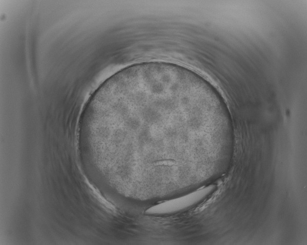 X0000087321525200705180958