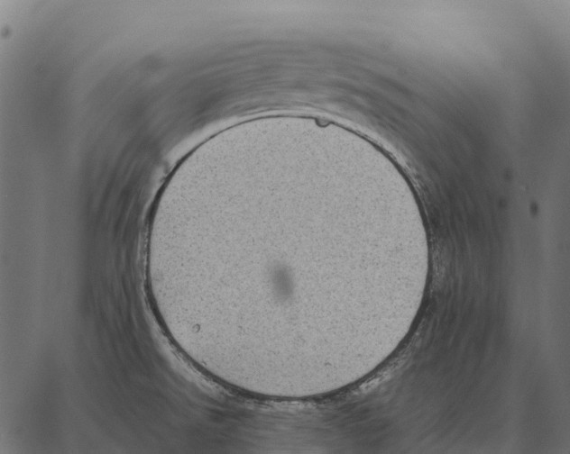 X0000087321526200705180958