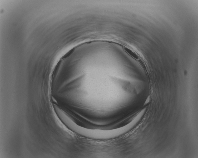 X0000087321528200705180958