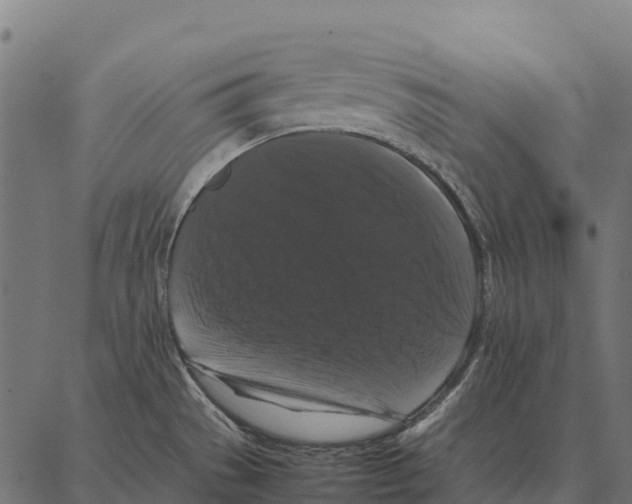 X0000087321529200705180958