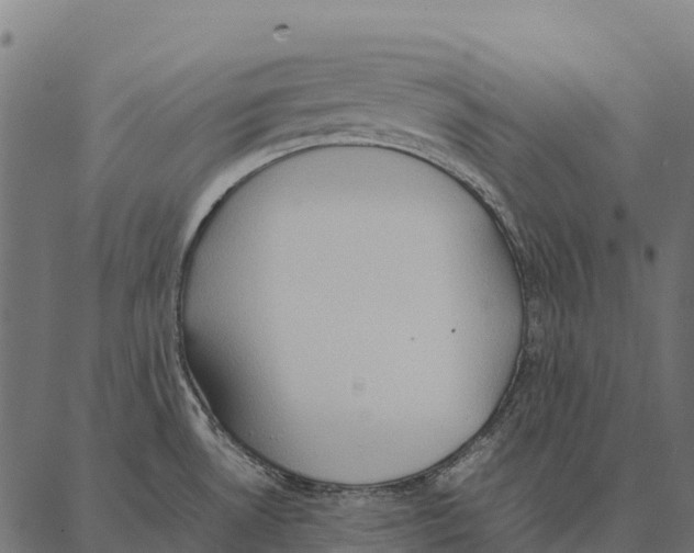 X0000087321530200705180958