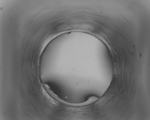 X0000087321532200705180958