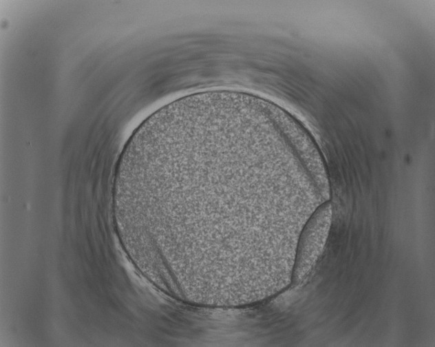 X0000087321534200705180958