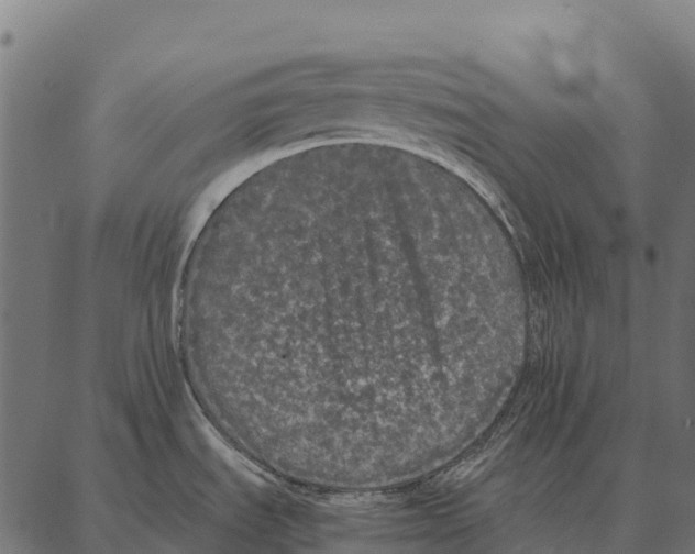 X0000087321535200705180958