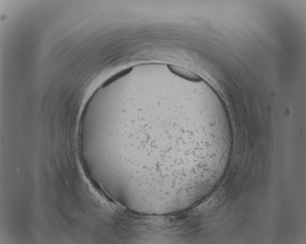 X0000087321536200705180958